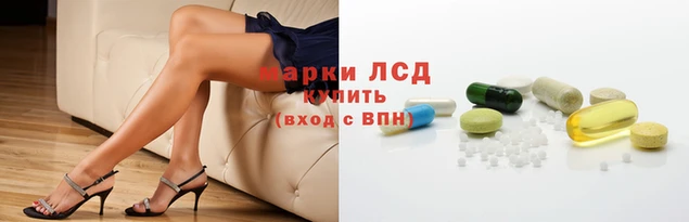СК Беломорск