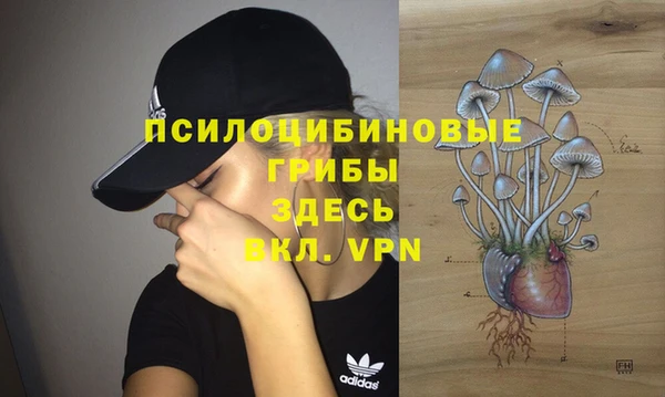 mdpv Белокуриха