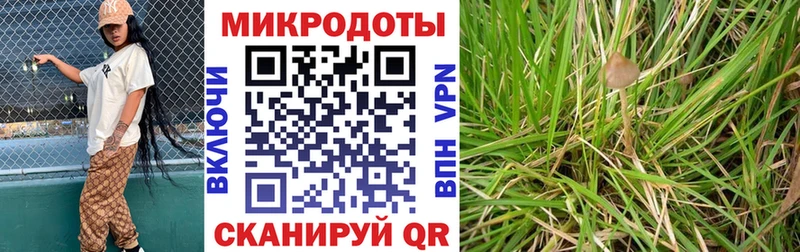 Галлюциногенные грибы GOLDEN TEACHER  kraken как зайти  Лабытнанги 